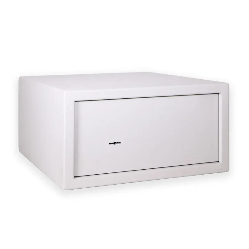 CAJA FUERTE MINI VAULT 40 - vista principal