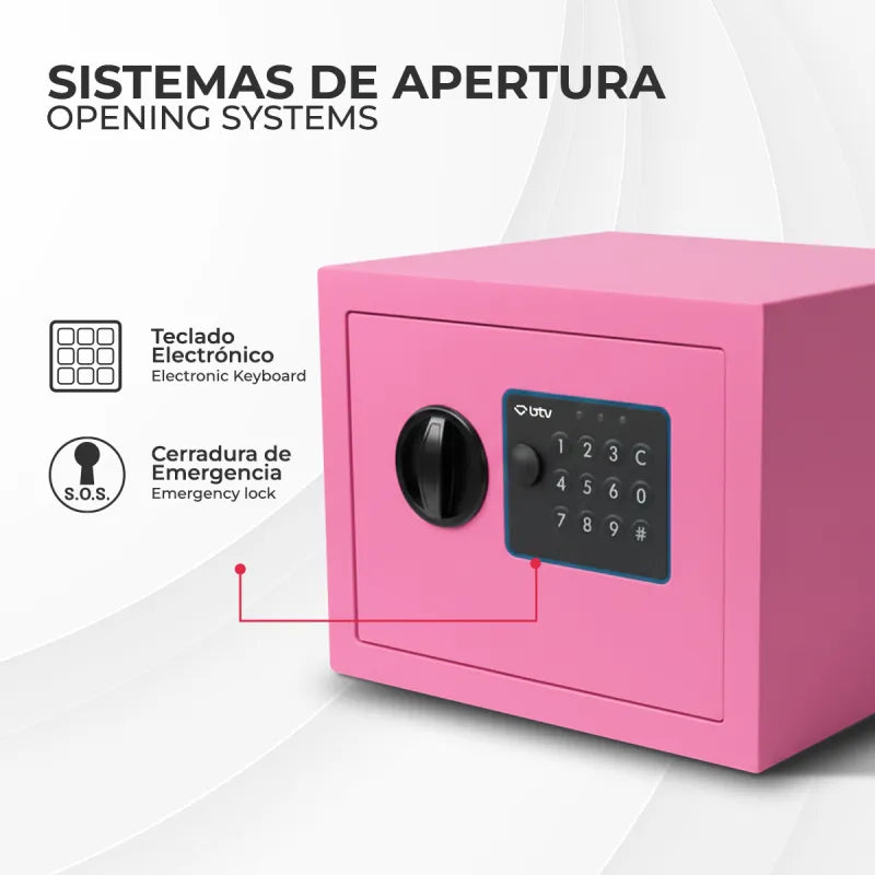 CAJA FUERTE ENA ROSA - vista detalle