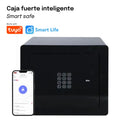 CAJA FUERTE GAMMA - vista principal