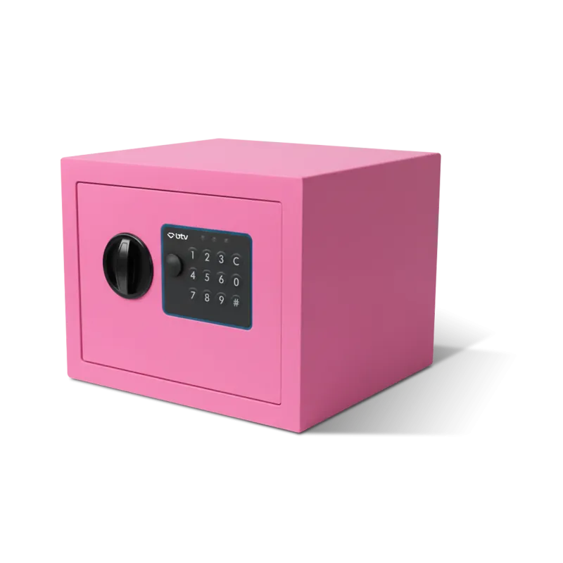 CAJA FUERTE ENA ROSA - vista principal