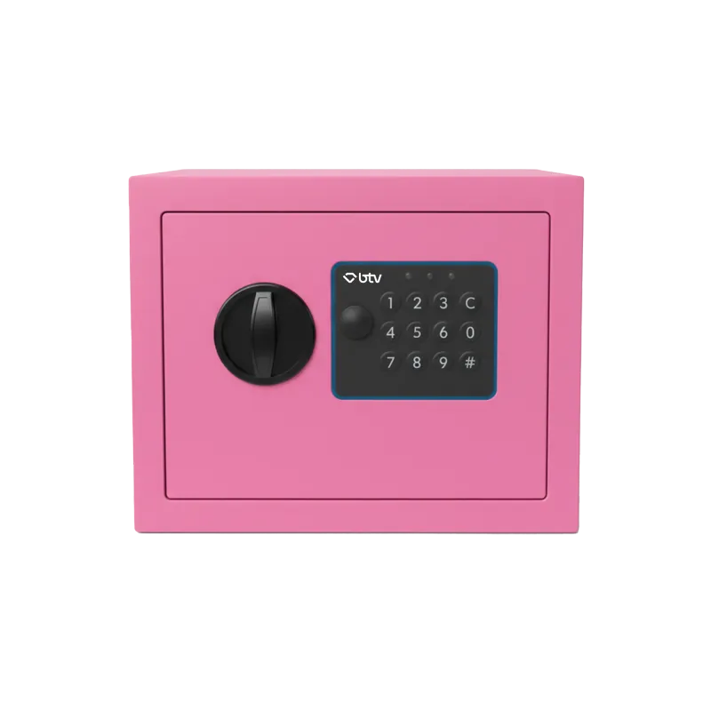 CAJA FUERTE ENA ROSA - imagen 9