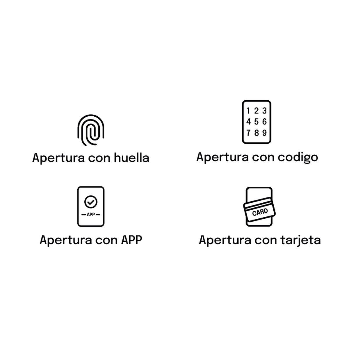 BTV Access Go - anclaje