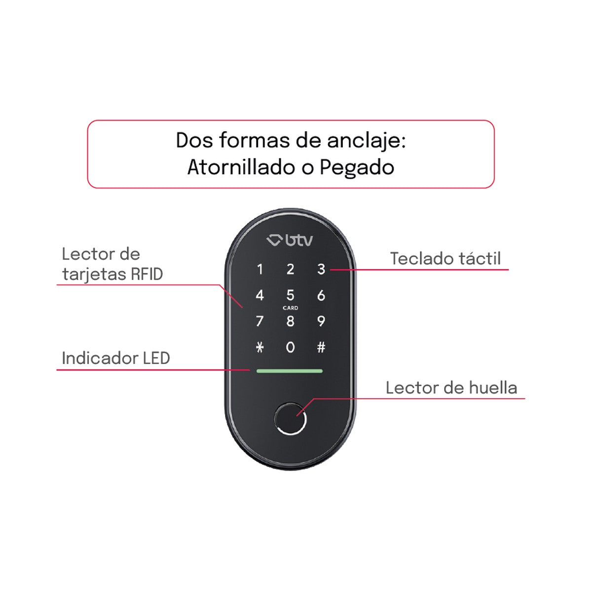 BTV Access Go - detalle panel