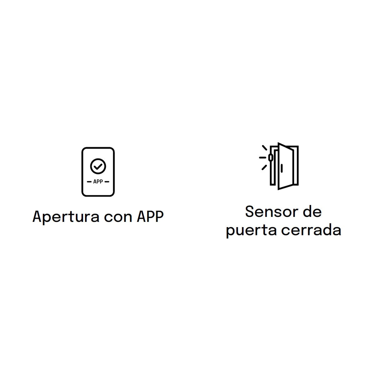 BTV Argos - dimensiones