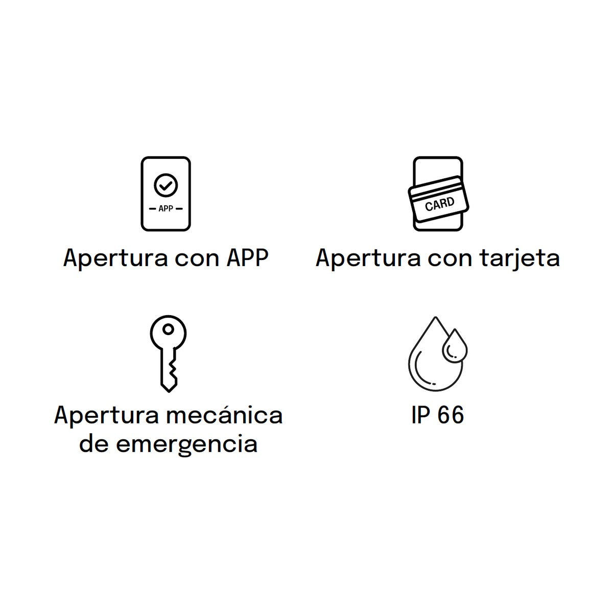 BTV Fenix - vista general