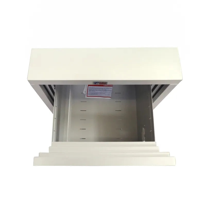 ARCHIVADOR IGNIFUGO IGNIS - vista detalle