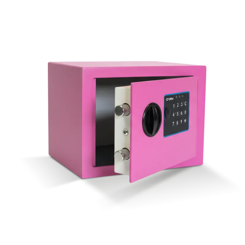 CAJA FUERTE ENA ROSA - imagen 8