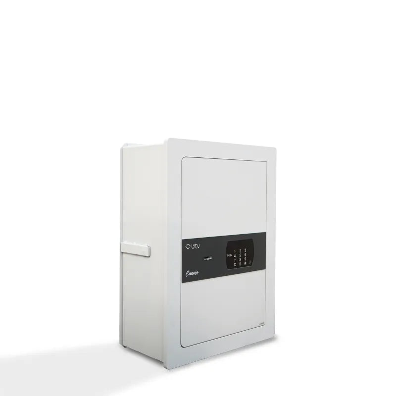 CAJA FUERTE CUARZO 55 EMPOTRAR - vista principal